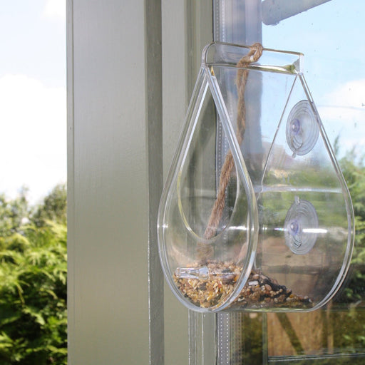 Dewdrop Window Bird Feeder