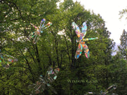 All Dragonfly Window Cling