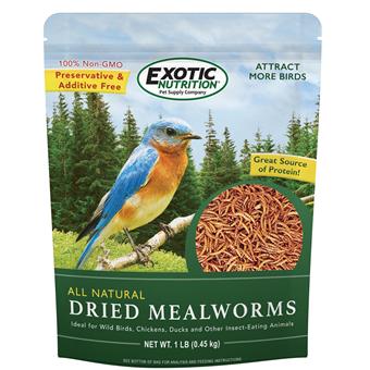 Dried Mealworms 1 lb