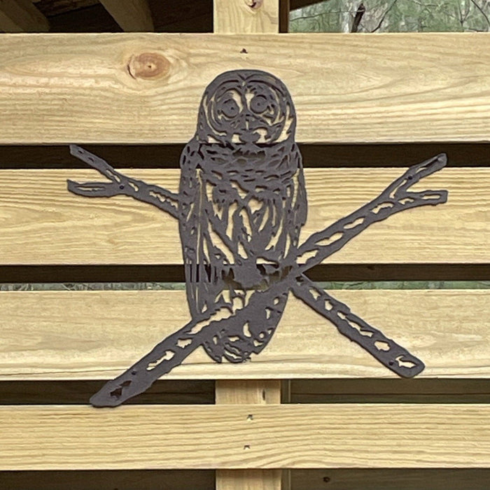 Barred Owl Wall Art