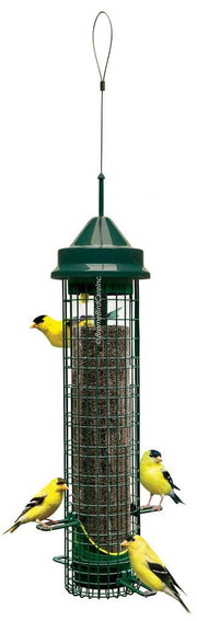 Squirrel buster finch bird feeder