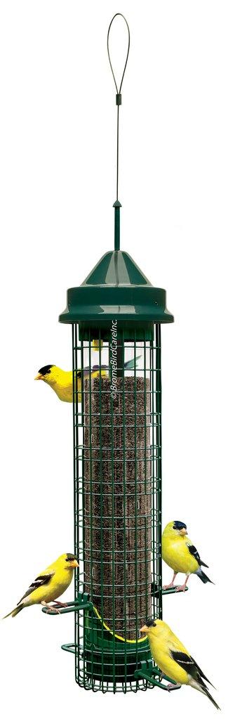 Squirrel buster finch bird feeder