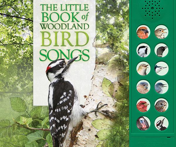 The Little Book of Woodland Bird Songs