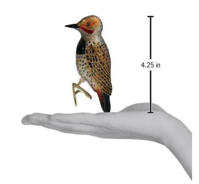 Norther Flicker Ornament Hand for Scale
