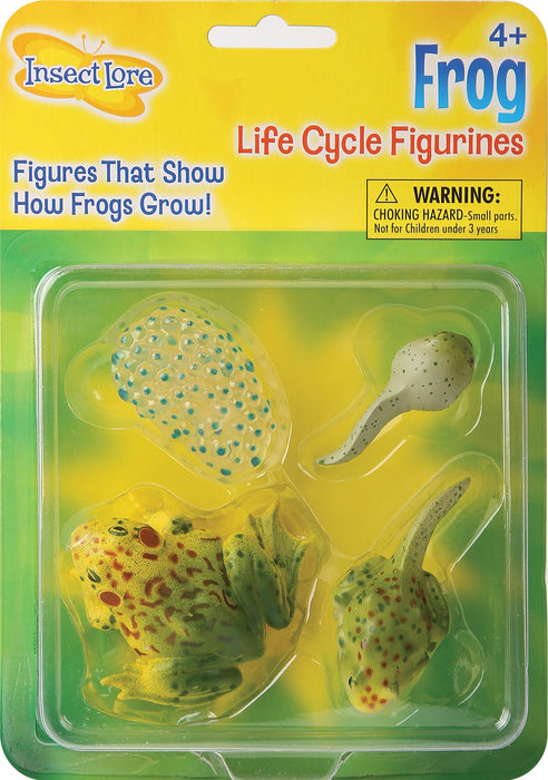 Insect Lore Frog Life Cycle Figurines