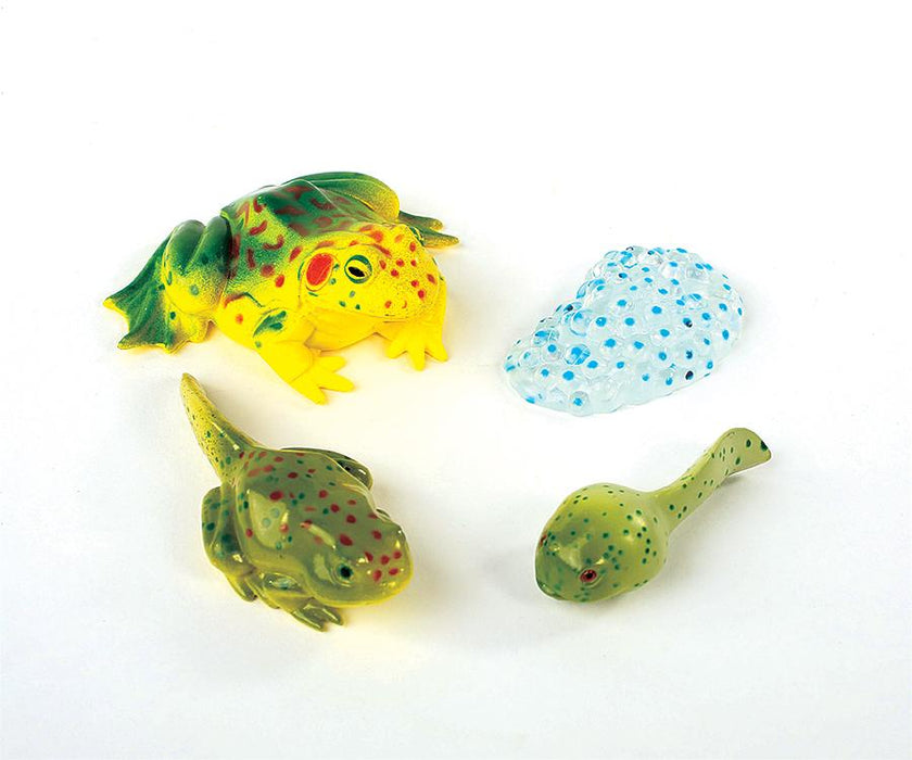 Frog Life Cycle Figurines 