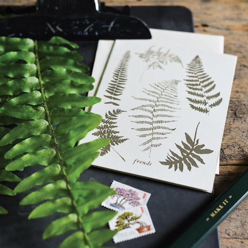 Fronds Cards - Boxed Set of 8