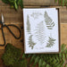 Fronds Cards - Boxed Set of 8 - 2