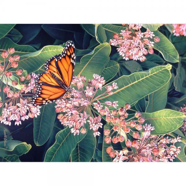 Monarch on Milkweed 1000 Piece Puzzle