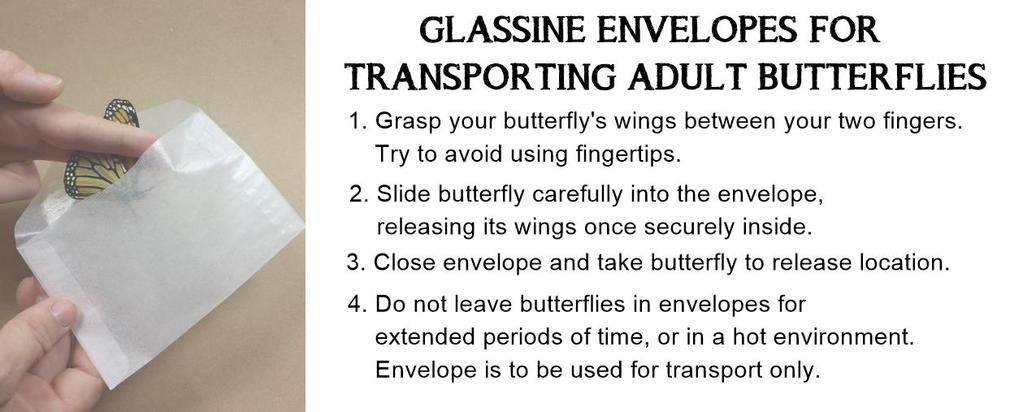 Glassine Envelopes for Transporting Adult Butterflies - 12 pack