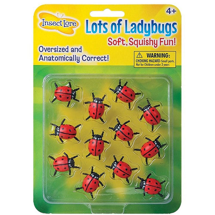 Lots of Ladybugs
