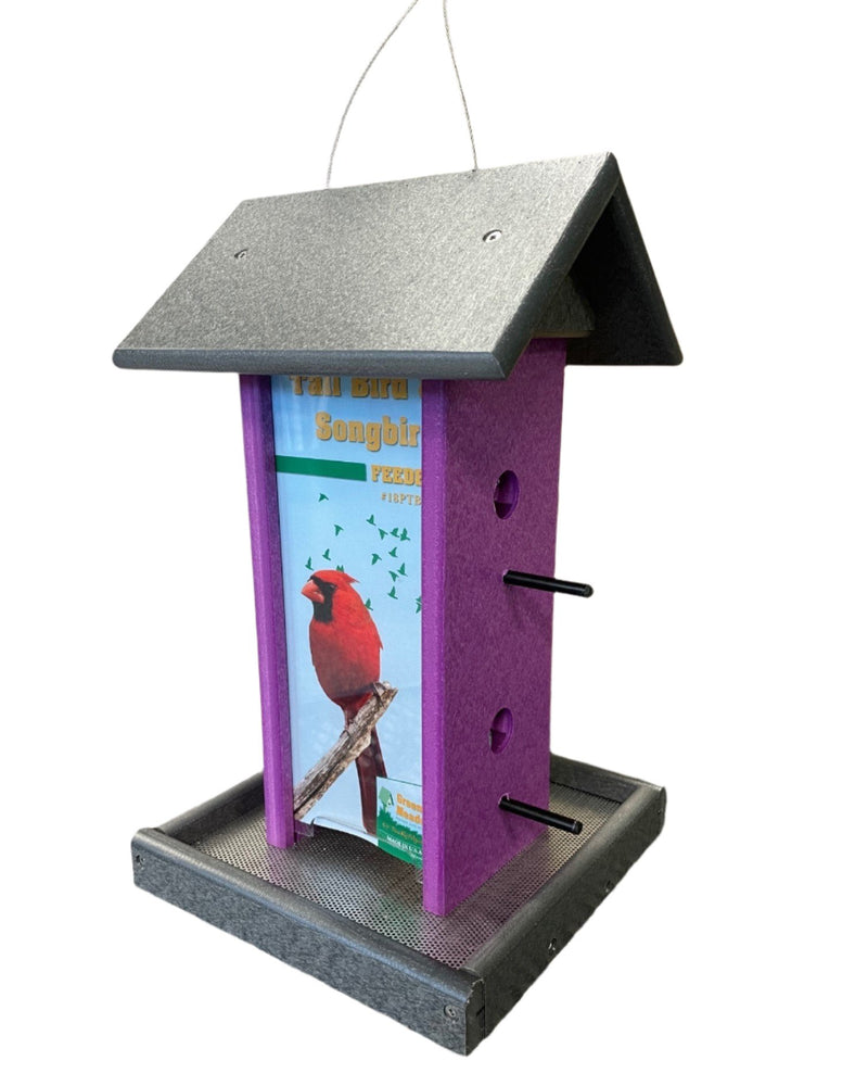 Songbird Feeder in Gray and Purple