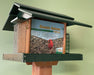 Classic Deluxe Feeder in Turf Green and Cedar Side View