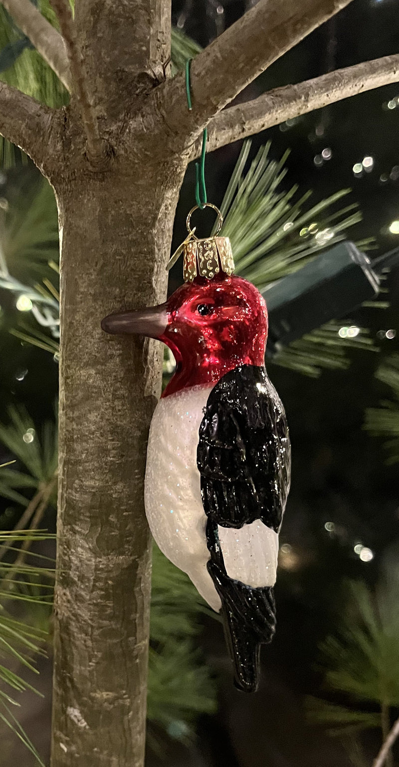red-headed woodpecker ornament on a real pine tree