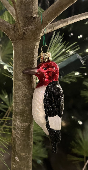red-headed woodpecker ornament on a real pine tree