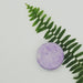 lavender shampoo bar with fern