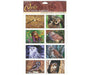 Sticker Sheet Owls of North America
