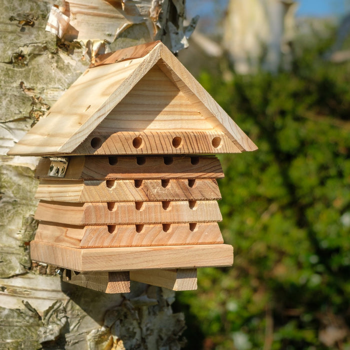 wooden bee hive house