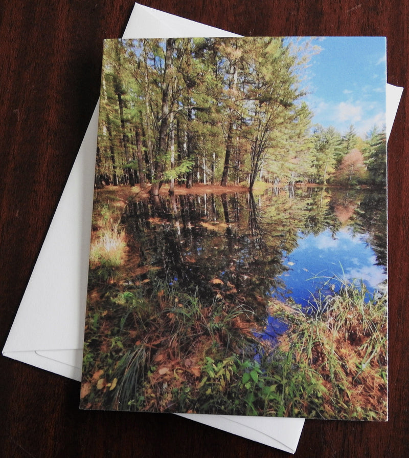 Woodland Reflecting Pool Notcard