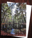Woodland Pool in Autumn Notecard