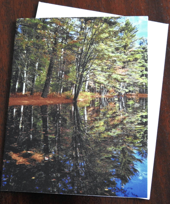 Woodland Reflection Notecard