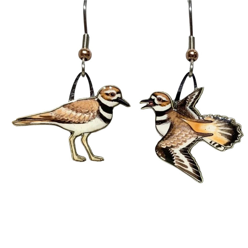 Killdeer Earrings - with ruler for scale