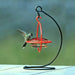 Hummble Hummingbird Glass Lid 2