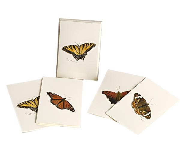 monarch Butterfly Notecard Assortment