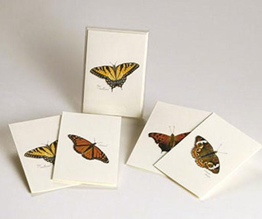 monarch Butterfly Notecard Assortment