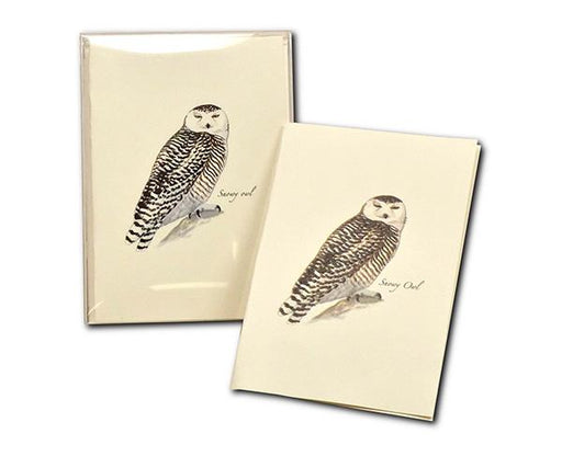 Sibley's Snowy Owl Note Cards