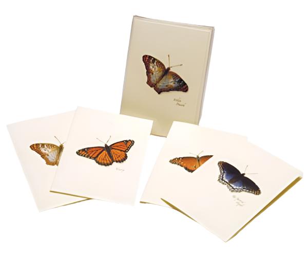 Butterfly Assortment II Notecard Boxed Set — Nature Niche