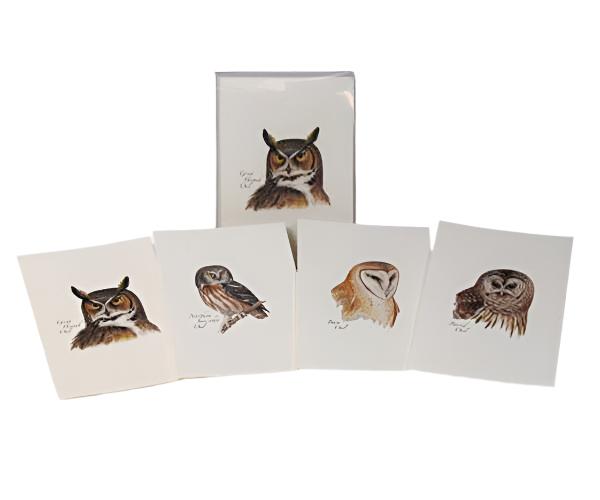 Peterson's owl notecard assortment