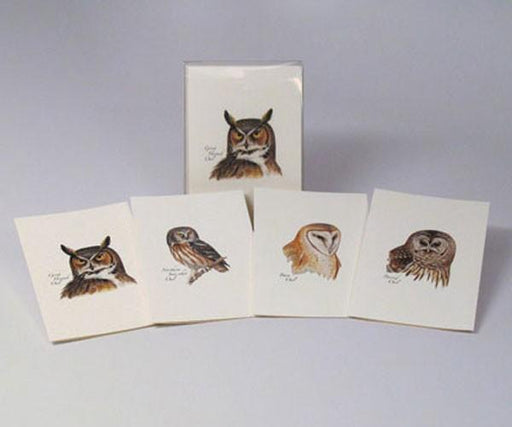 Peterson's owl notecard assortment