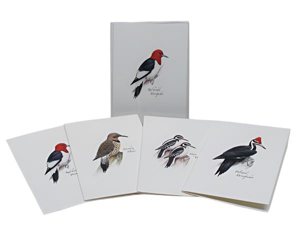 Woodpecker Notecard Assortment