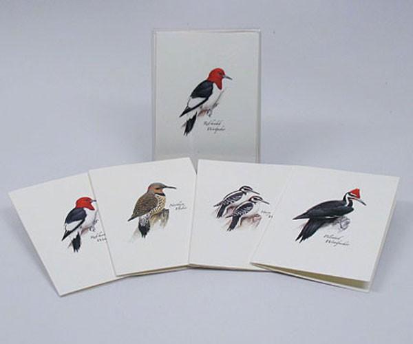 Woodpecker Notecard Assortment