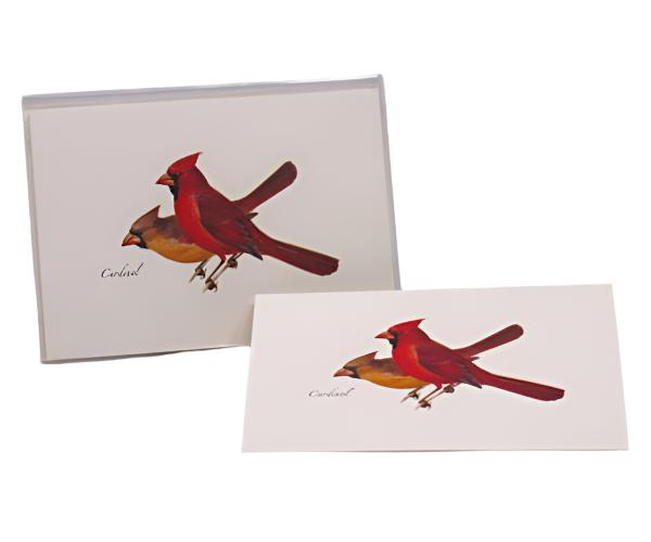 Cardinal Notecard Boxed Set of 8 — Nature Niche