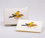 Goldfinch note cards