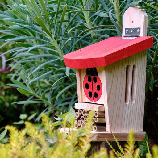 Lady Bug and Insect Lodge side view