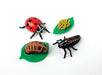 Lady Bug Life Cycle Figurines