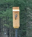 Black-capped chickadee using the nest box