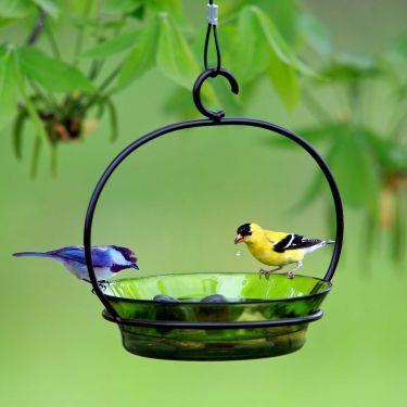 Cuban Hanging Bird Bath Or Feeder 3
