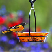 Cuban Hanging Bird Bath Or Feeder 5