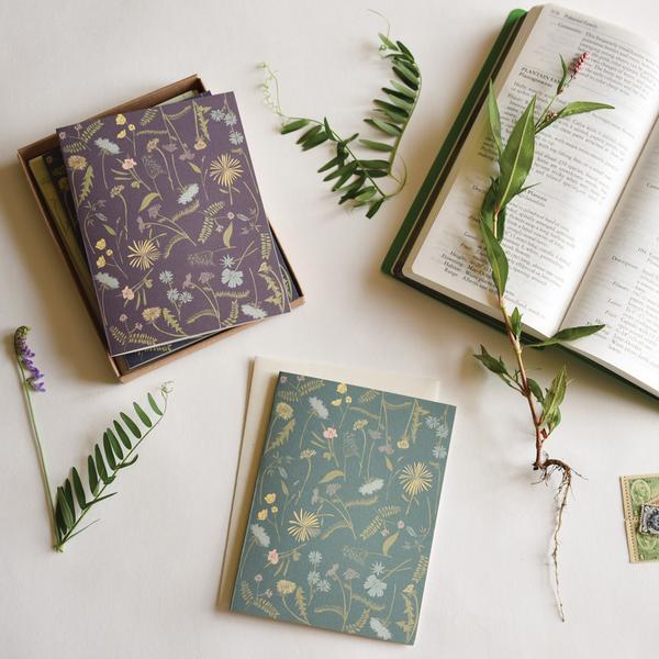 Meadow Cards - Boxed Set of 8