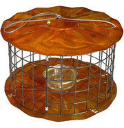 Barrier Guard Specialty Bluebird Feeder - Copper Tint
