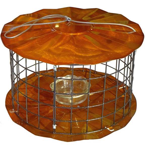 Barrier Guard Specialty Bluebird Feeder - Copper Tint