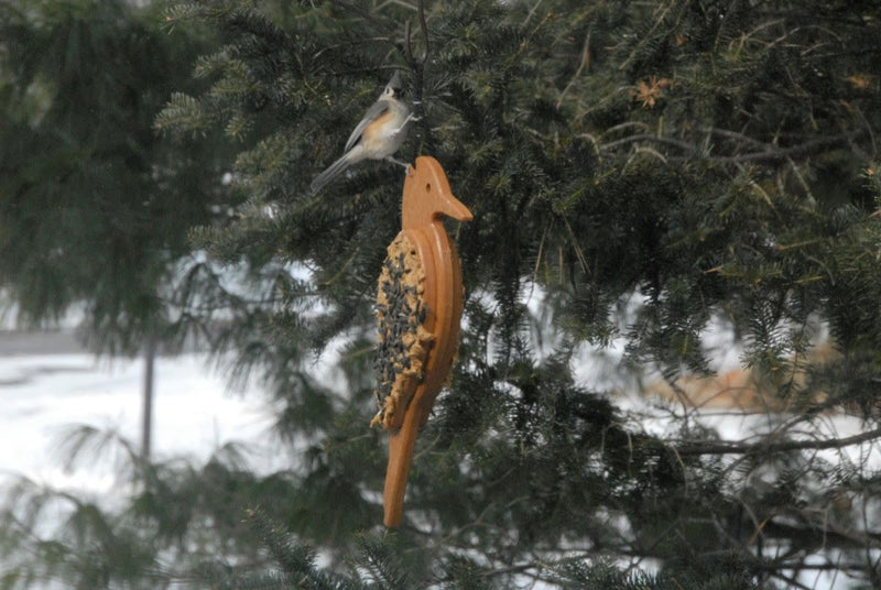 Mr. Woodpecker with tufted titmouse
tan