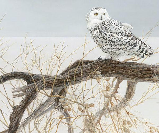 Fallen Willow Snowy Owl 500 Piece Puzzle