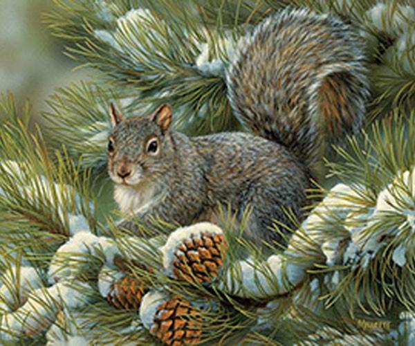 Gray Squirrel 275 Piece Puzzle 