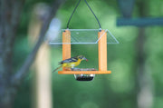 clear top fruit bowl with bird