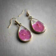Pink Phlox Earrings